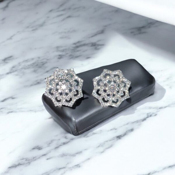 Radiant Floral Burst Earrings