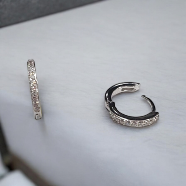 Luxe Elegance Hoop Earrings