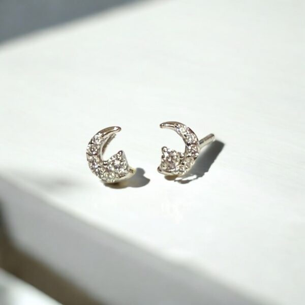Moonlit Whiskers Stud Earrings